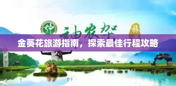 别出新意