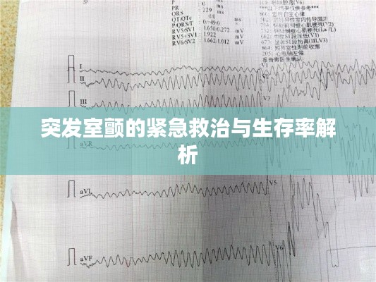 2025年6月5日