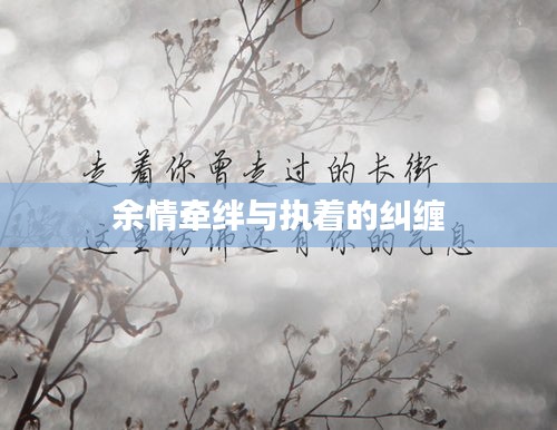 余情牵绊与执着的纠缠